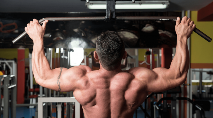 The Best Back Workouts For Power And Muscle Building best back workouts